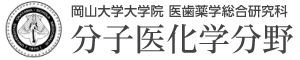 岡山大学大学院 医歯薬学総合研究科 分子医化学分野